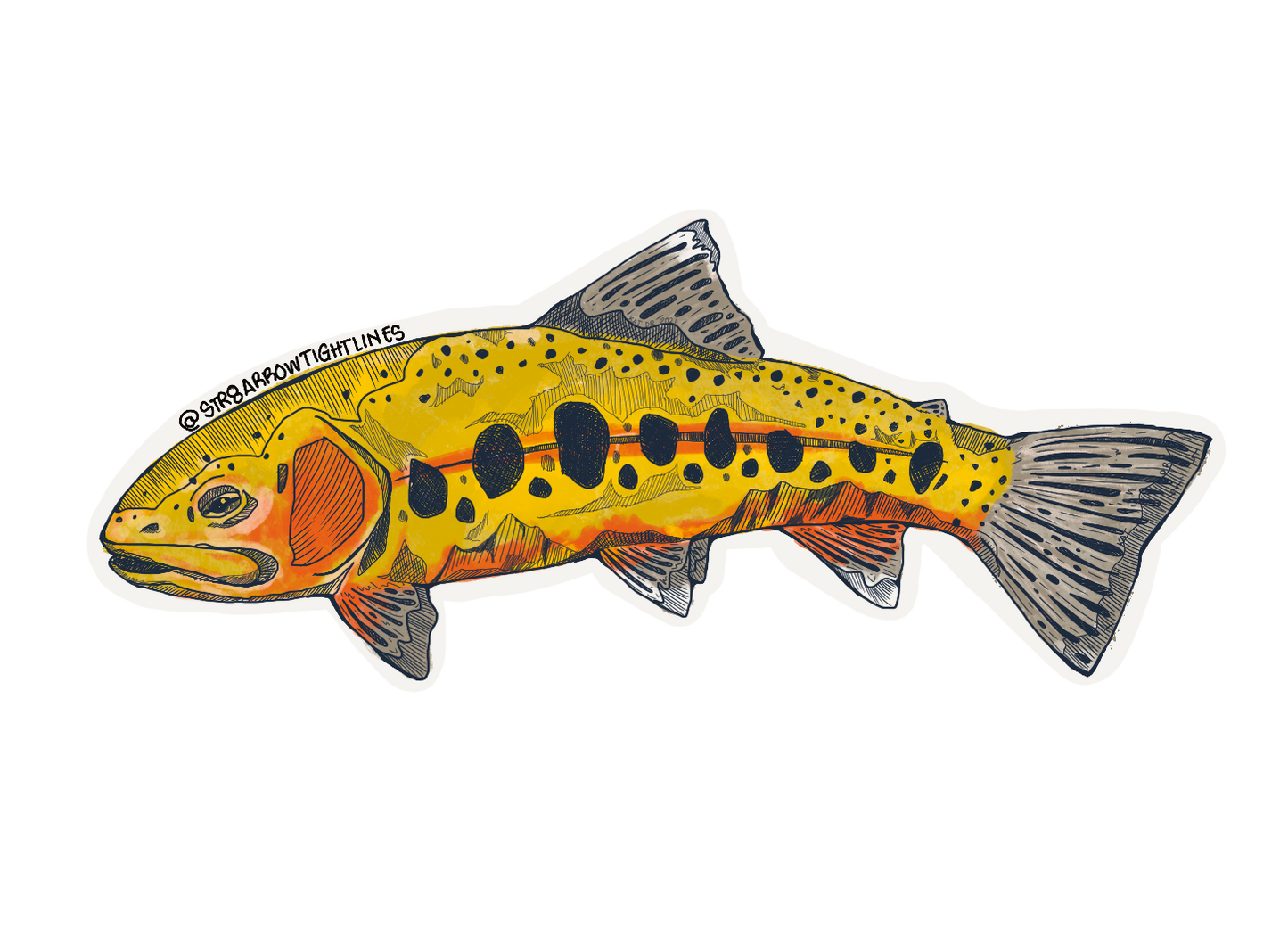 Golden Trout Sticker - 5"x2"